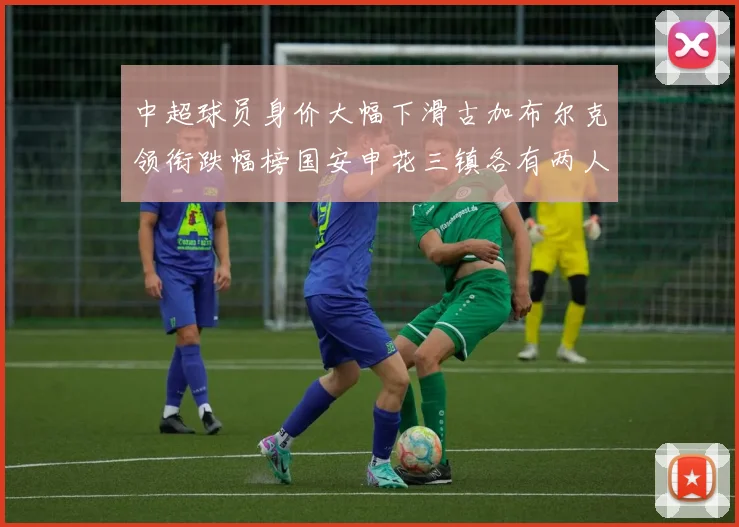 中超球员身价大幅下滑古加布尔克领衔跌幅榜国安申花三镇各有两人上榜