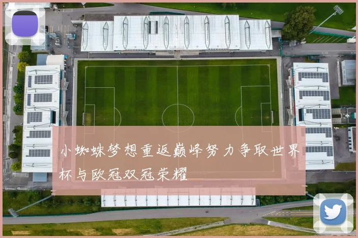 小蜘蛛梦想重返巅峰努力争取世界杯与欧冠双冠荣耀